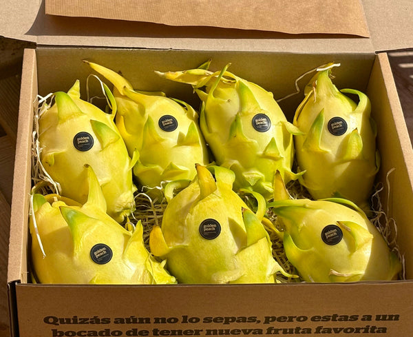 Pitahaya Amarilla Premium — Fruta del Dragón