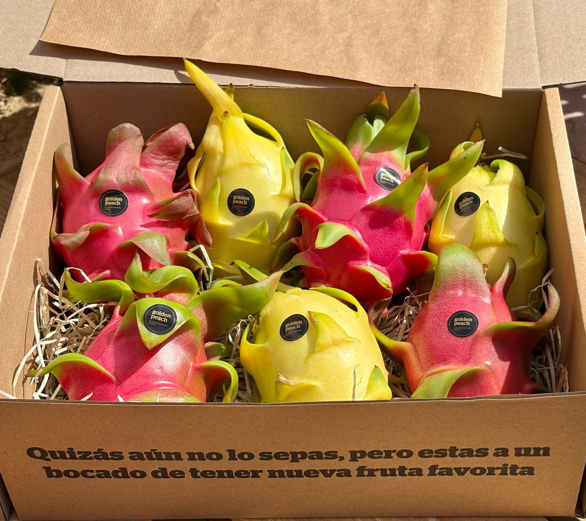 Pitahaya Amarilla + Pitahaya Roja