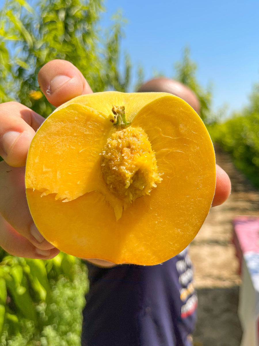 Pitahaya Amarilla + Melocotón Amarillo