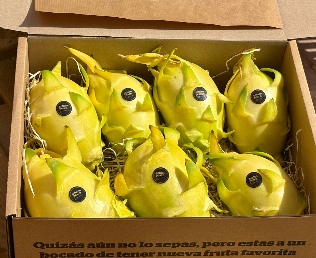 Pitahaya Amarilla Premium — Fruta del Dragón