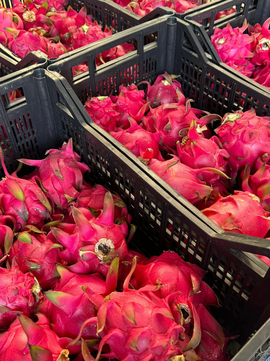 Pitahaya Roja Premium — Fruta del Dragón seleccionada