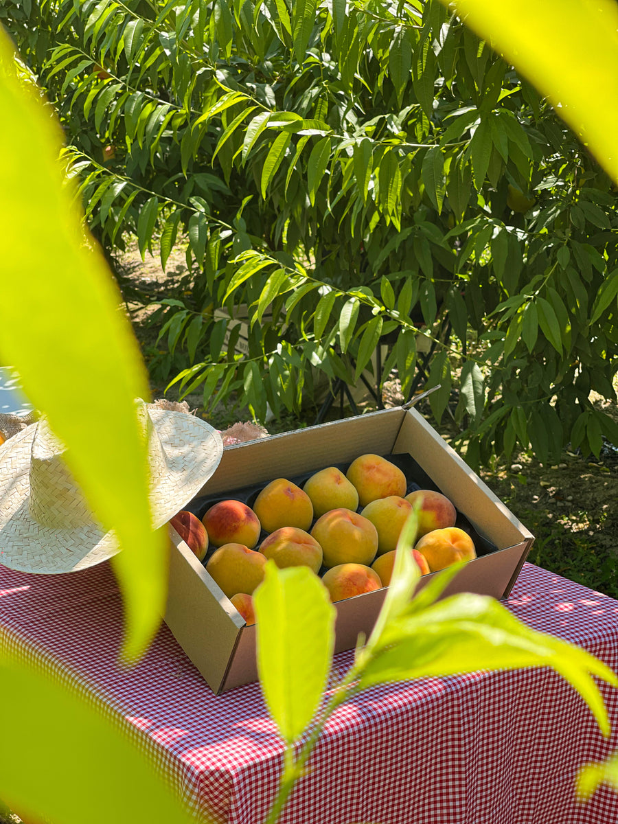 Melocotón amarillo + Nectarinas