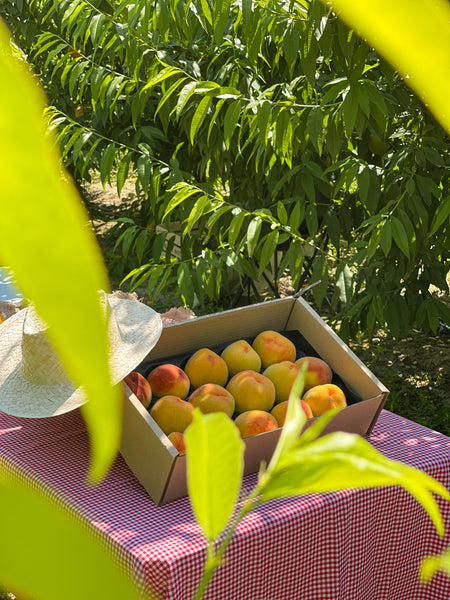 Melocotón amarillo + Nectarinas
