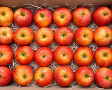 Manzana Royal Gala