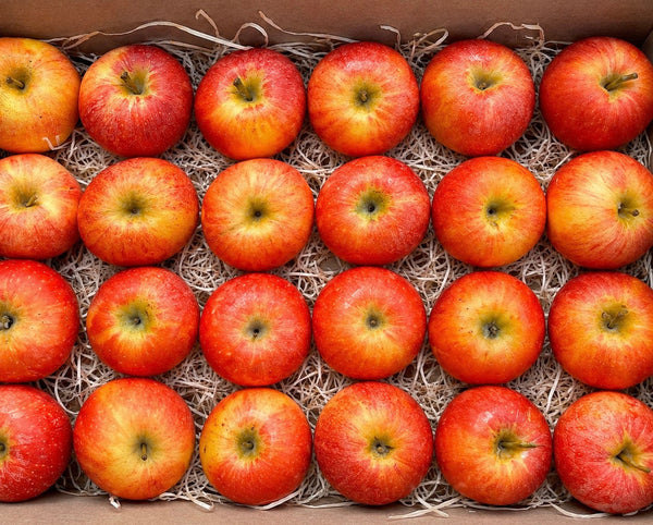 Caja Manzanas Rojas Royal Gala