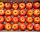 Caja Manzanas Rojas Royal Gala