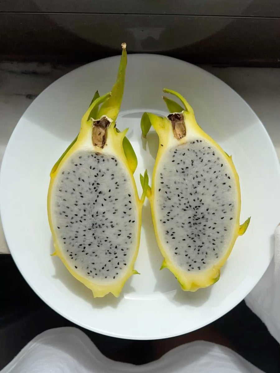 Pitahaya Amarilla + Pitahaya Roja