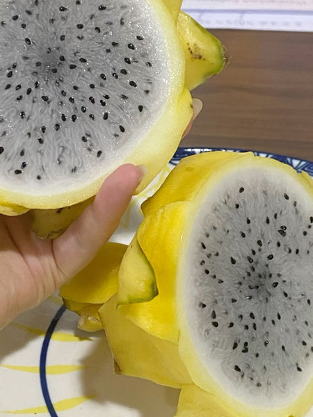 Pitahaya Amarilla Premium — Fruta del Dragón