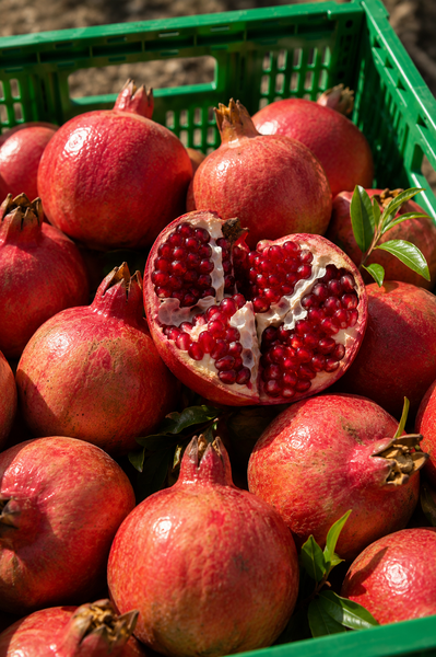 Caja de Granadas