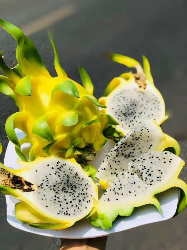 Pitahaya Amarilla Premium — Fruta del Dragón