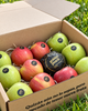 Caja Mixta de Manzanas