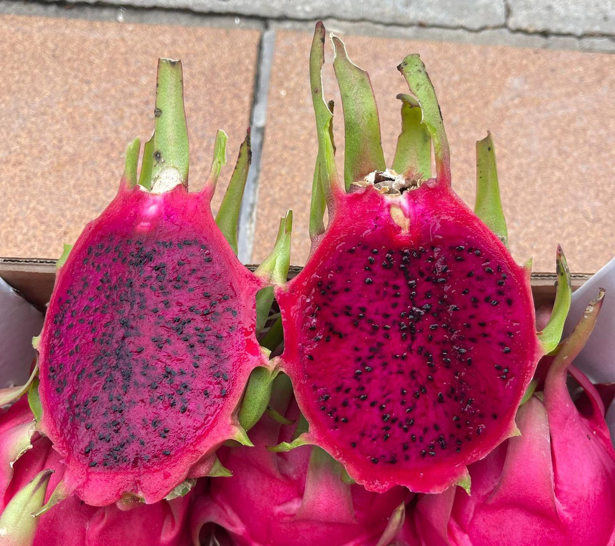 Pitahaya Roja Premium — Fruta del Dragón seleccionada