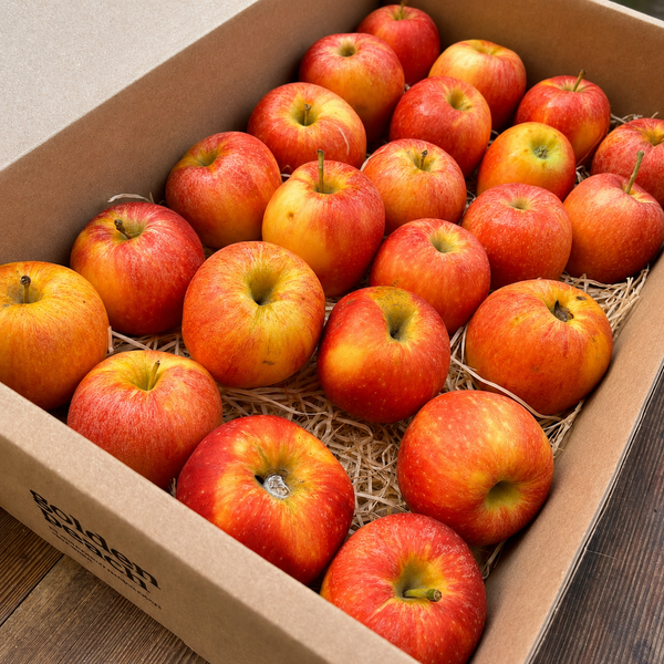 Caja Manzanas Rojas Royal Gala