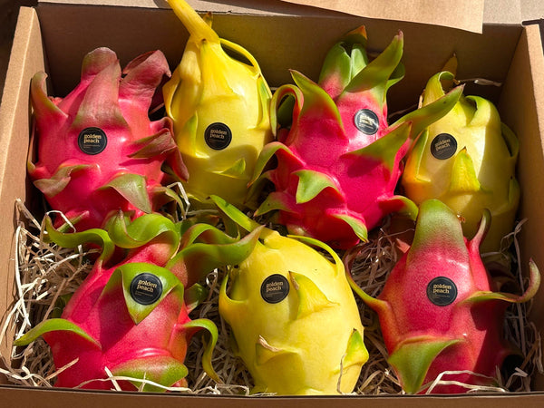 Pitahaya Amarilla + Pitahaya Roja